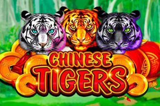 Chinese Tigers